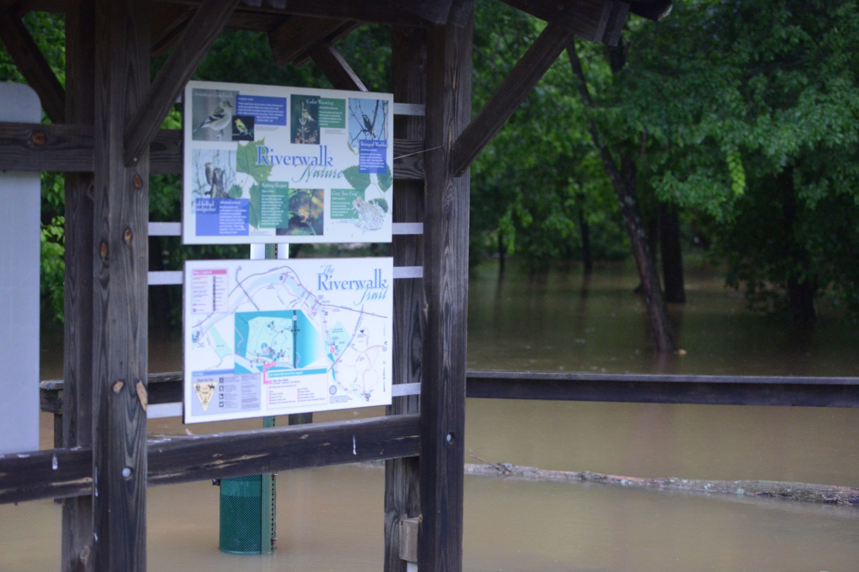 Flood 2.jpg